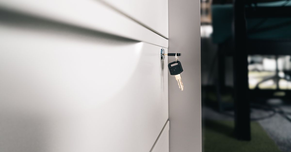 What Is a Mortise Lock, and Why Do So Many Cicero Homes Have One? — Cicero Locksmith
